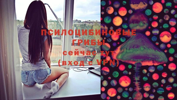СК Няндома