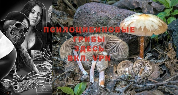 спиды Алексин