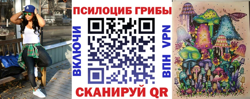 Галлюциногенные грибы мицелий  наркошоп  Каневская 